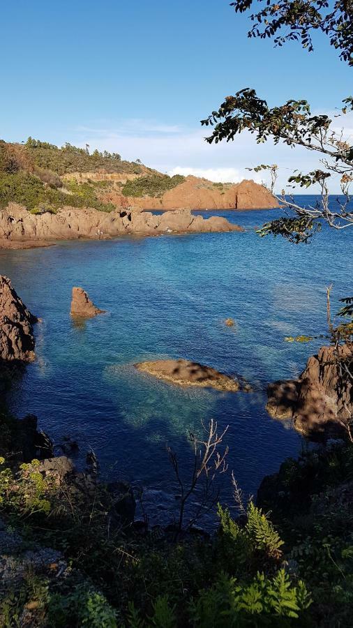 Saint Raphael - Appartement Dans Villa Au Calme A Valescure Y- Prix Inchanges Bagian luar foto